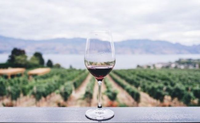 La Ruta del vi per la Costa Brava 